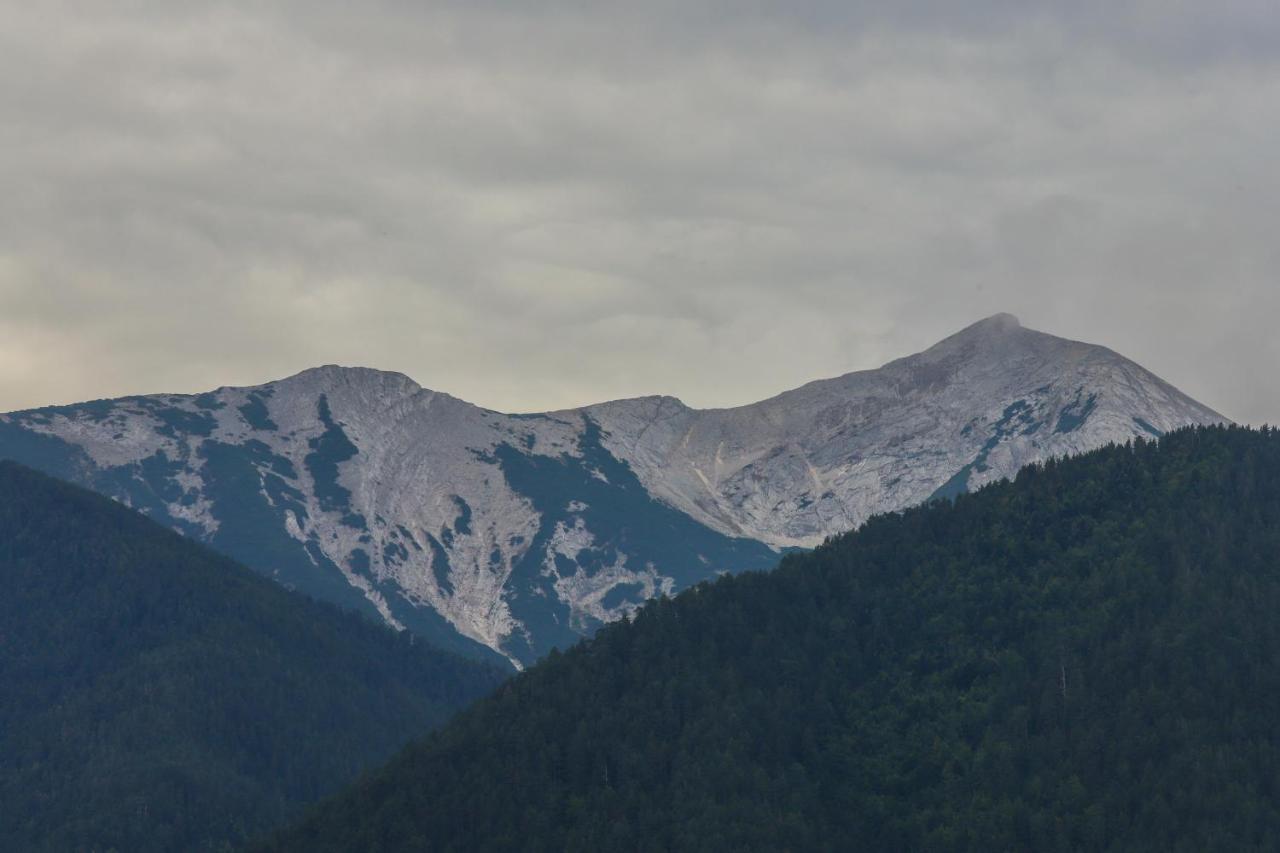 Willa Mountain Hawk Park Bansko Zewnętrze zdjęcie